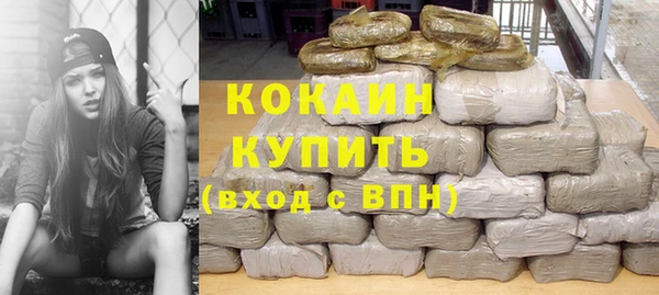тгк Абаза